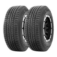 Juego de 2 neumáticos Falken WPHT01A 225/60R17 99T · H/T
